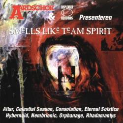 Compilations : Smells Like Team Spirit
